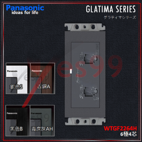 國際牌GLATIMA_電話雙插座(6極4芯)(灰色) WTGF2264H